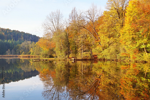 Fototapeta Naklejka Na Ścianę i Meble -  Laubbäume spiegeln sich in einem See