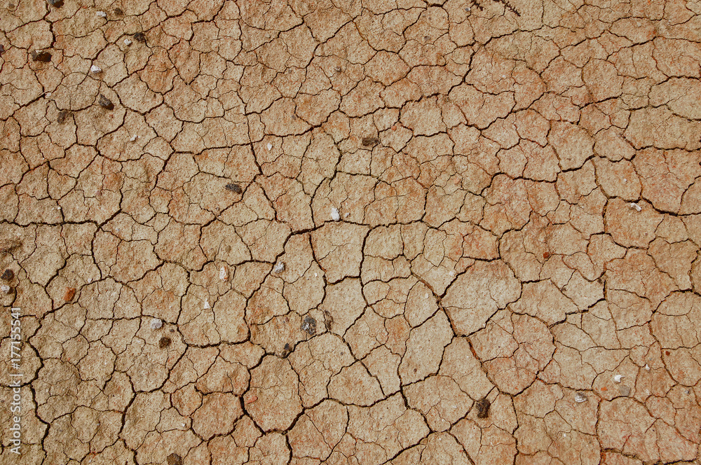 dried clay dried clay
