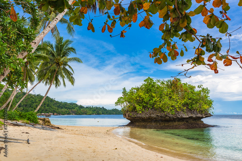 Beach view. Raja Ampat, West Papua, Indonesia.