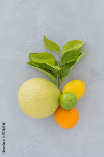 oranges, lime, lemon with green leaves on a gray texture background top view. still life with citrus on  background.