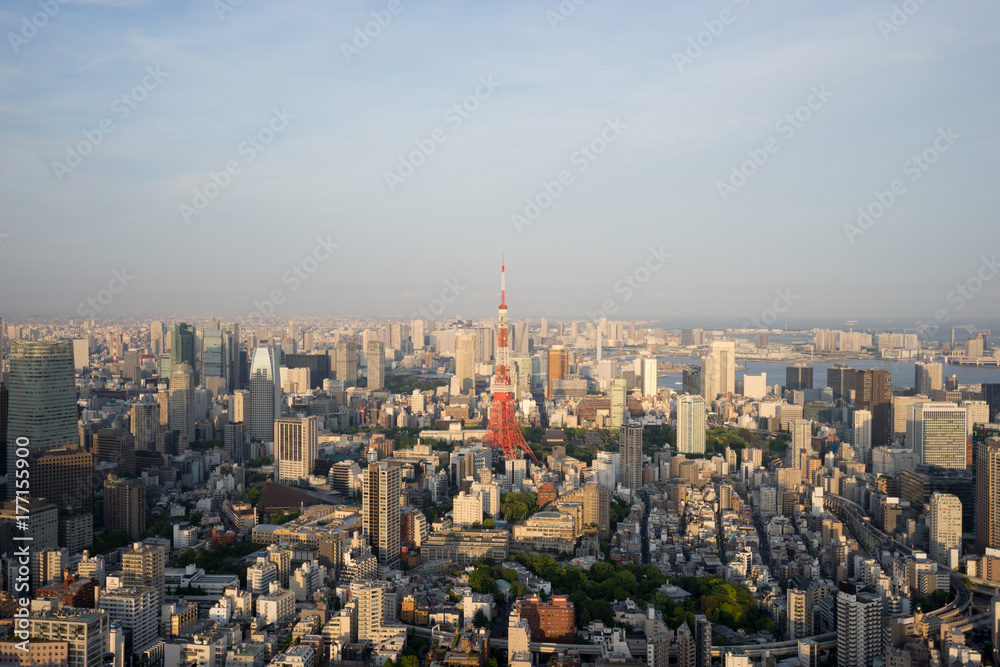 夕日に染まるの東京タワー（都市風景）
