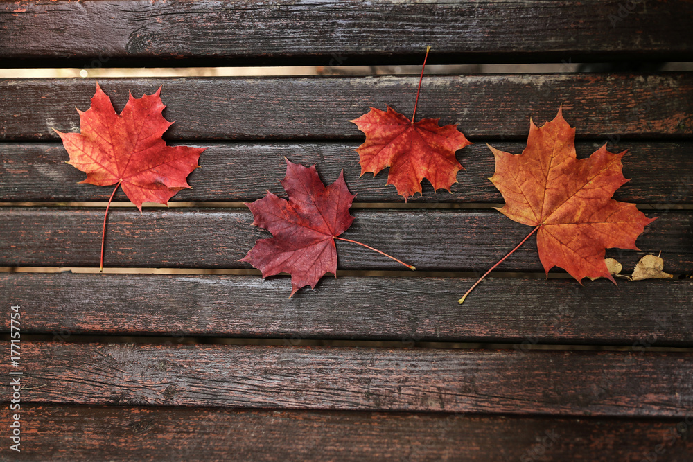 Autumn wooden background with maple leaves