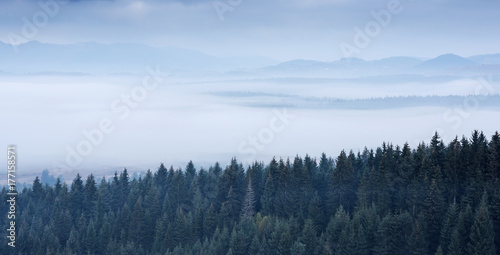 foggy background