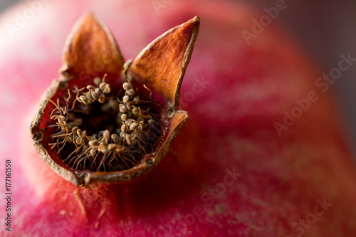 Ripe Pomegranare macro view. photo