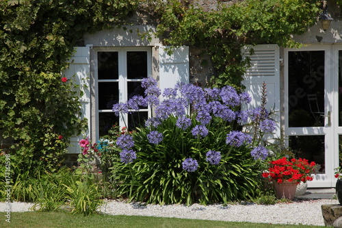 Bouquet devant la fenêtre. photo
