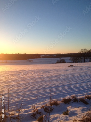 Felder in der Wintersonne