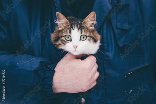Cat in the bosom