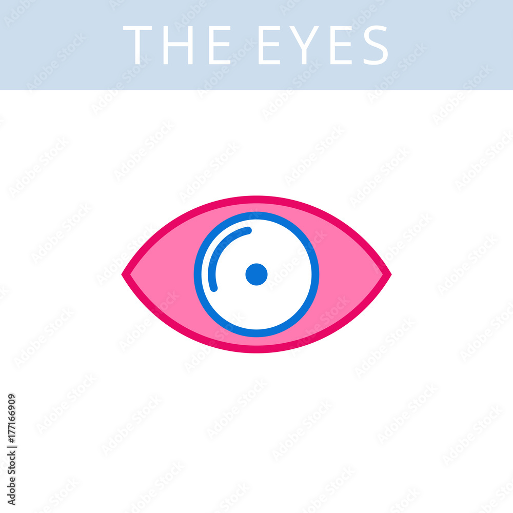 The internals outline icon. Eye and eyesight symbols. Viscera and inside organs vector linear pictograms. Thin line medical and anatomy infographic elements for web, presentation, networks. The internals outline icon. Eye and eyesight symbols. Viscera and inside organs vector linear pictograms. Thin line medical and anatomy infographic elements for web, presentation, networks.