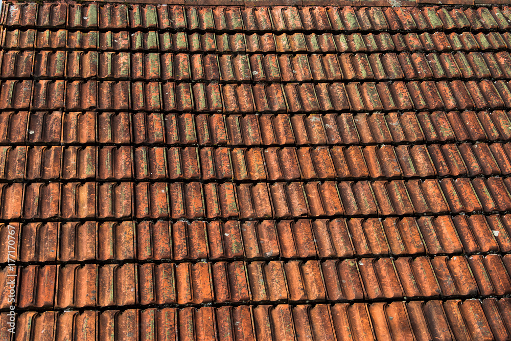 Alt german roof covered with Bitumin tiles. Alt german roof covered with Bitumin tiles.