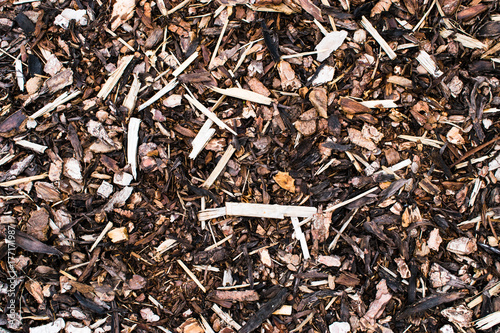 Wood sawdust texture material background closeup, top view