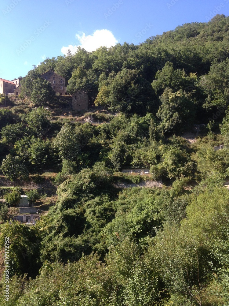 Mazzola (Corse) Mazzola (Corse)