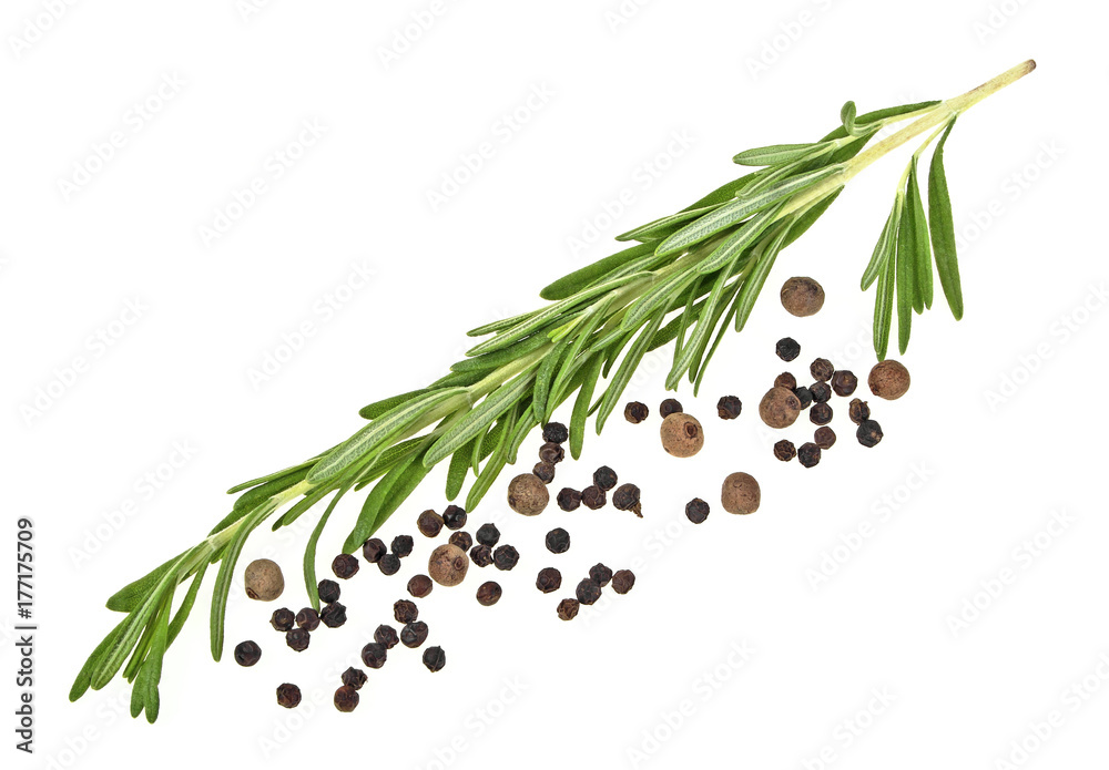 Fresh rosemary and pepper isolated on a white background Fresh rosemary and pepper isolated on a white background