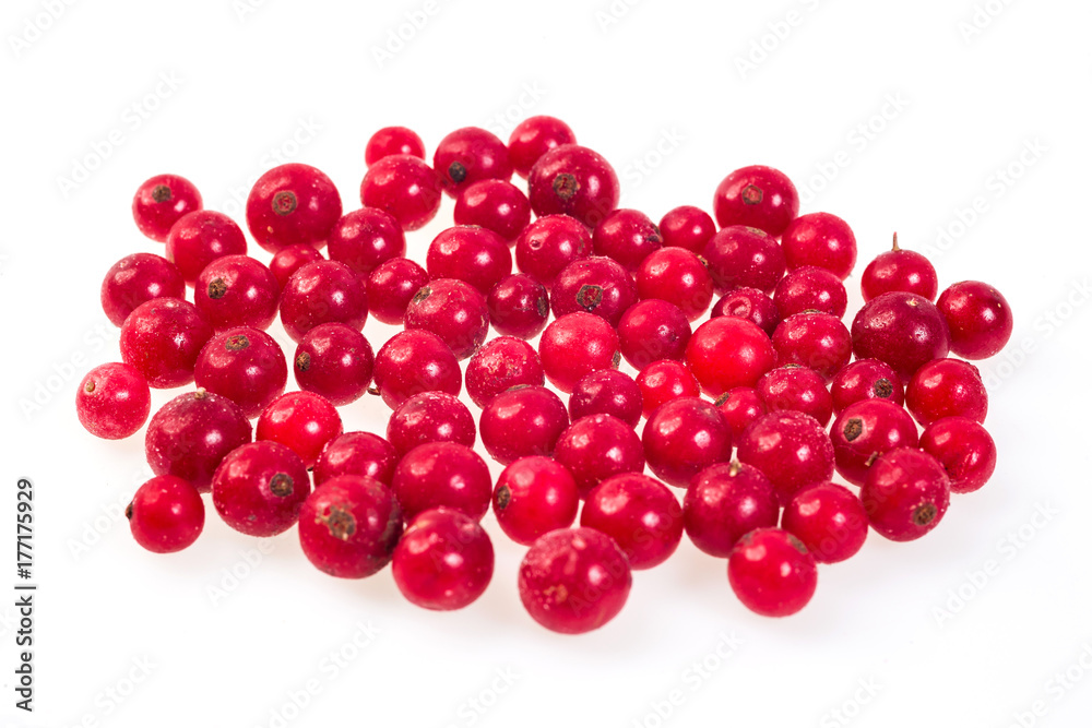 Red currant,cranberries,frozen. Macro,frozen organic Red currant and cranberries,a handful of sweet,luscious frozen Red currant isolated on white background,Abstract background from cranberries Red currant,cranberries,frozen. Macro,frozen organic Red currant and cranberries,a handful of sweet,luscious frozen Red currant isolated on white background,Abstract background from cranberries
