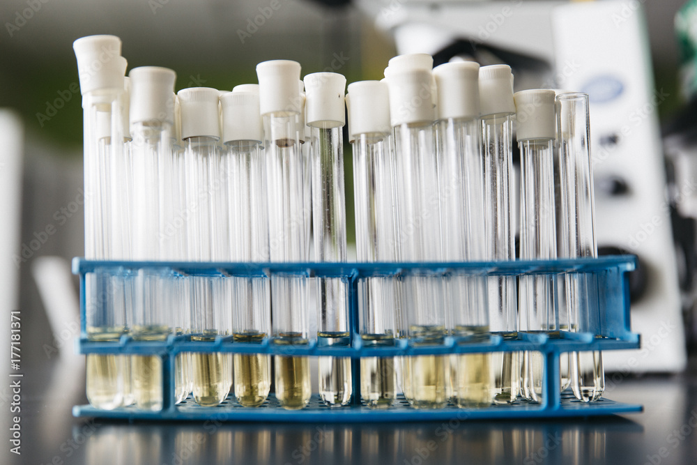 Test Tubes Test Tubes