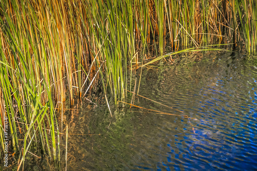 plan d'eau dans la campagne Champenoise en France photo