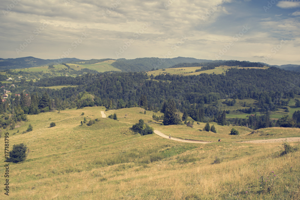 Fototapeta premium Krajobraz górski. Pieniny w Polsce. Letni krajobraz gór