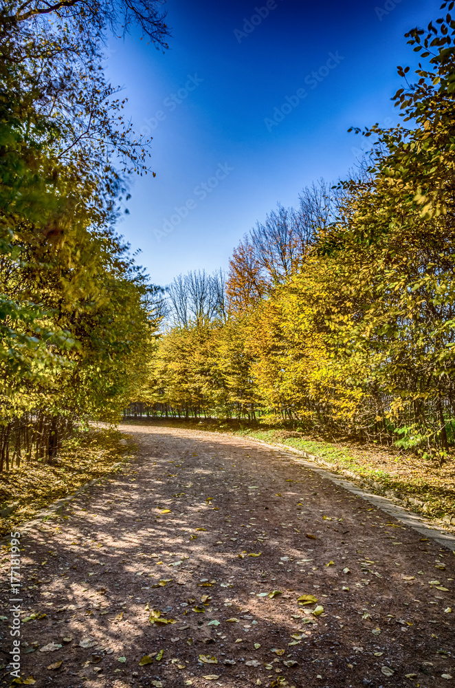 Autumn falling in the Lviv city park in Ukraine Autumn falling in the Lviv city park in Ukraine