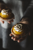 Lemon pie in woman hands. Traditional french sweet pastry tart. Delicious, appetizing, homemade dessert with lemon cream. Copy space, closeup. Selective focus. Toned
