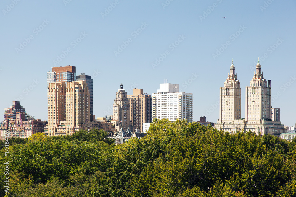 A view of NYC skyline from central park