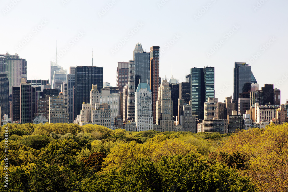 Obraz premium A view of NYC skyline from central park