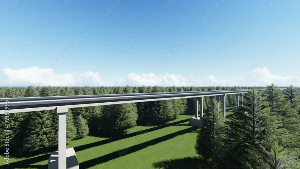 High speed maglev train
