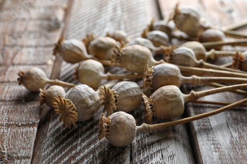 Dried poppy heads on wooden table