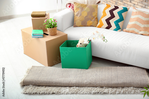 Sofa, carton boxes and inte...