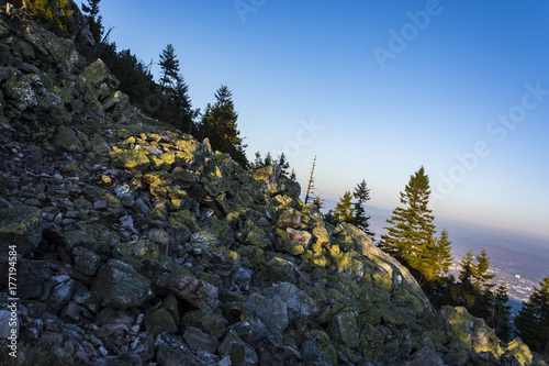 Fototapeta Naklejka Na Ścianę i Meble -  Stones with moss and trees under clear blue sky in autumn.