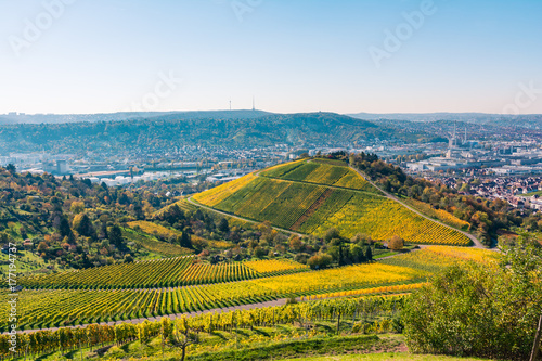 Stuttgart Germany Grabkapelle Vineyards Autumn Fall Season Beautiful Landscape Farming Agriculture Wine
