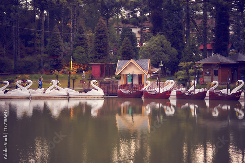 View of pedal boats on the Black Lake in the city of Gramado, Rio Grande do Sul, Brasil.