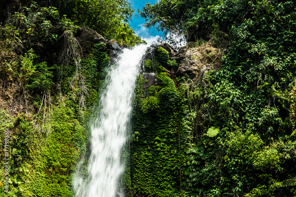 beautiful waterfall in the rain forest beautiful waterfall in the rain forest