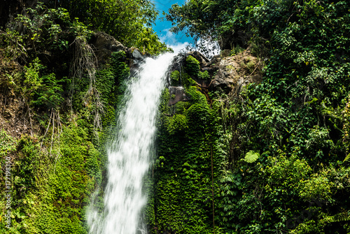 beautiful waterfall in the rain forest
