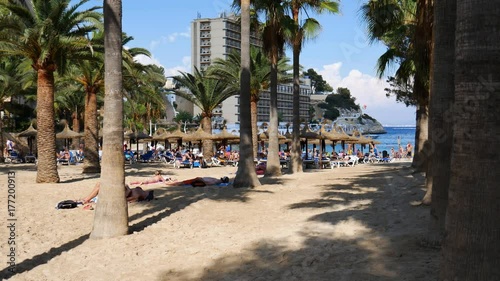 Cala Vinyes Mallorca Spain: Tourists finding shade under palm trees on the beach