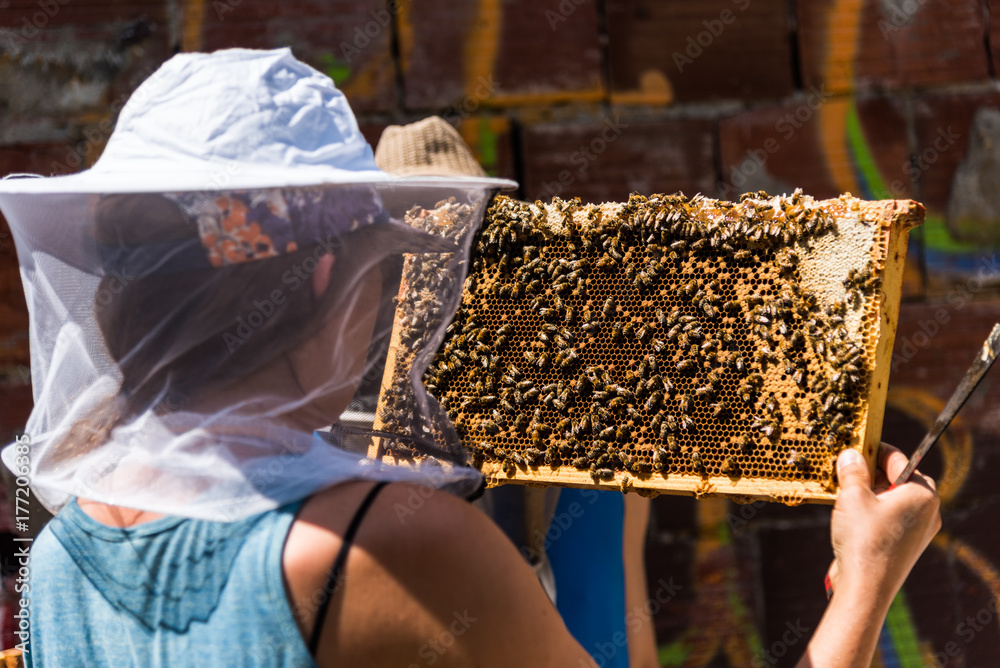 Female Beekeeper Holding Beehive Female Beekeeper Holding Beehive