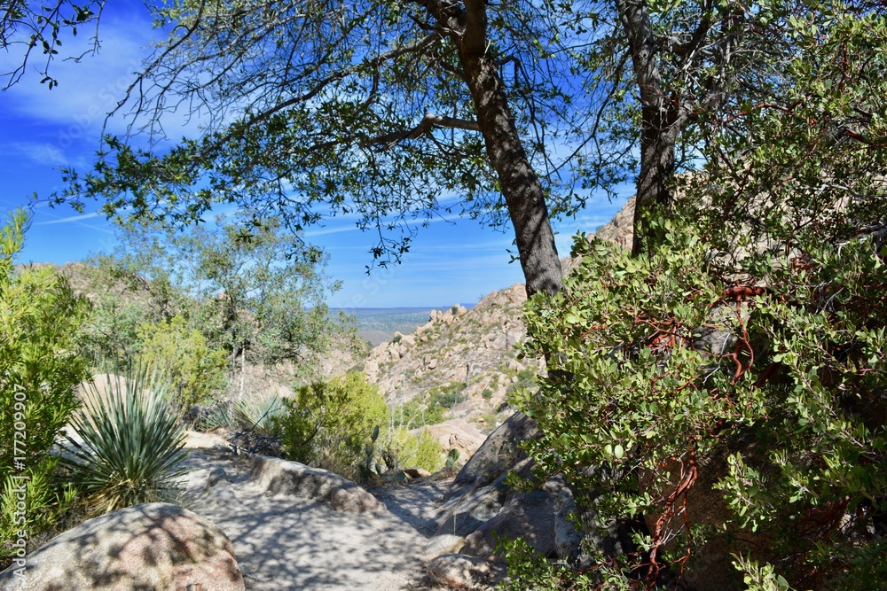 Romero Pools Trail Catalina State Park Tucson Arizona