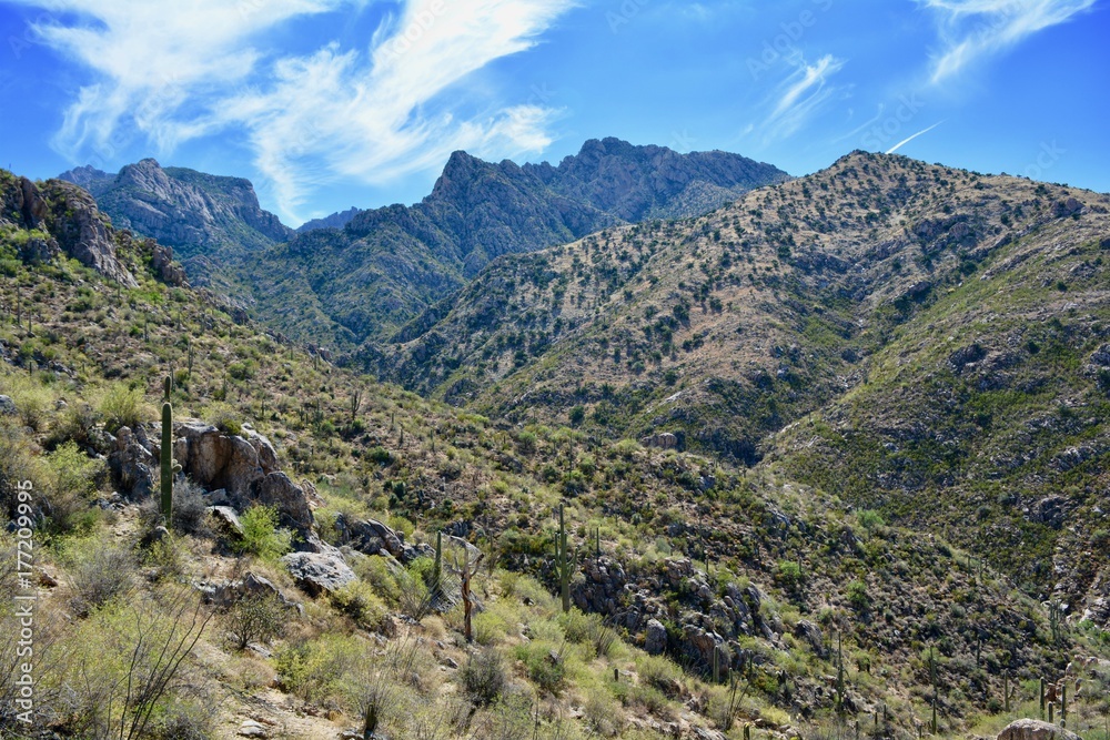 Romero Pools Trail Catalina State Park Tucson Arizona