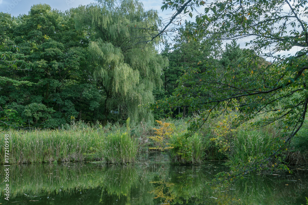 東京 善福寺公園 東京 善福寺公園