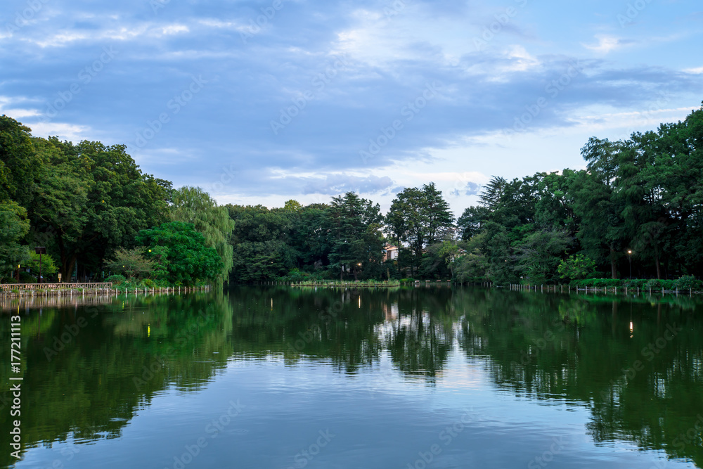 東京　善福寺池１