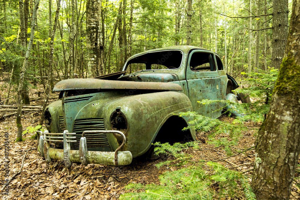Abandoned in Woods