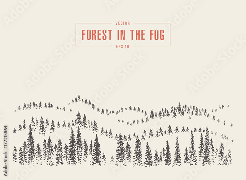 Misty fog pine forest mountain vector drawn sketch