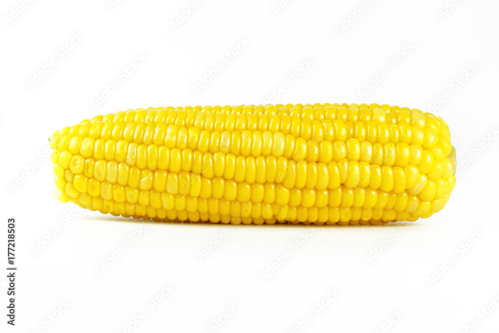 yellow sweet corn isolated on white background yellow sweet corn isolated on white background