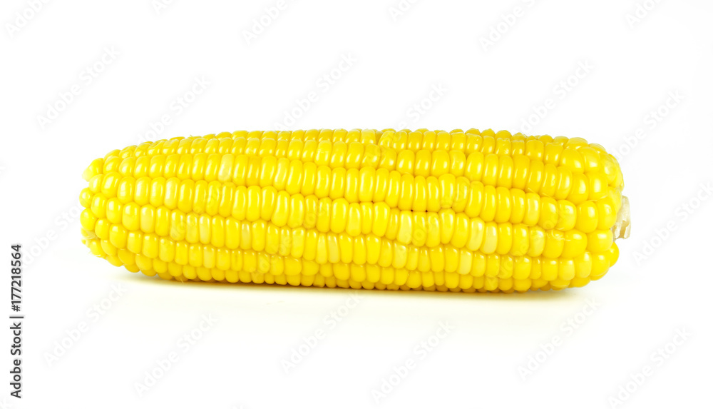 yellow sweet corn isolated on white background yellow sweet corn isolated on white background