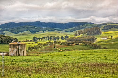 Rolling hills and grassland in Northern California