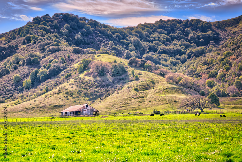 A wood barn in an open grassland on a farm in the hills of Northern California
