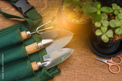 Mini gardening tools with plant on the wooden table with sunshine background