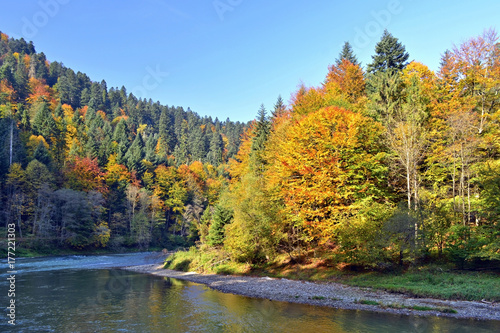 Fototapeta Naklejka Na Ścianę i Meble -  Autumn  landscape. Pieniny Mountains, Dunajec river
