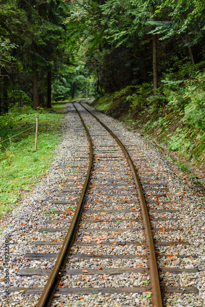 wavy railroad tracks in wet summer day in forest wavy railroad tracks in wet summer day in forest
