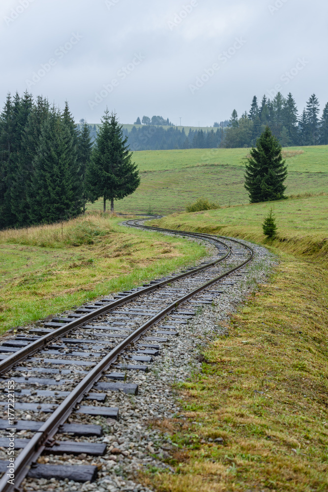 Fototapeta premium wavy railroad tracks in wet summer day in forest