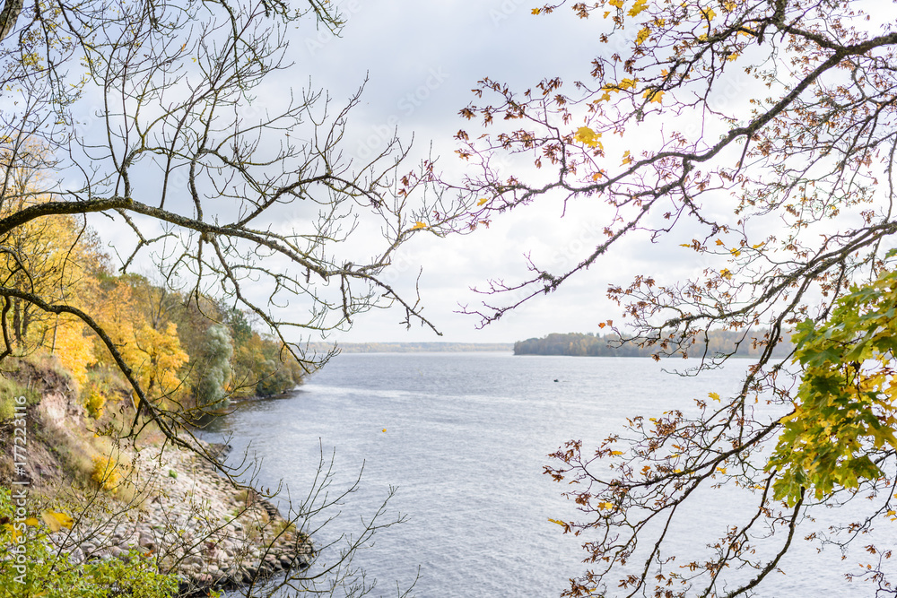 autumn colored tree leaves background pattern by the river autumn colored tree leaves background pattern by the river