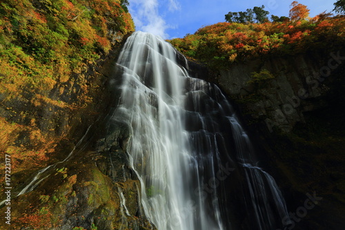 紅葉の安の滝 © yspbqh14